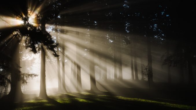 Photo by Kristine Weilert on Unsplash